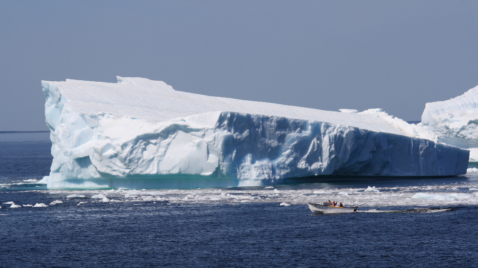 Where to see icebergs in canada
